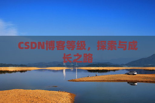 CSDN博客等级，探索与成长之路